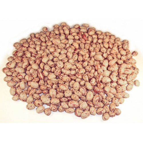 Kidney Bean